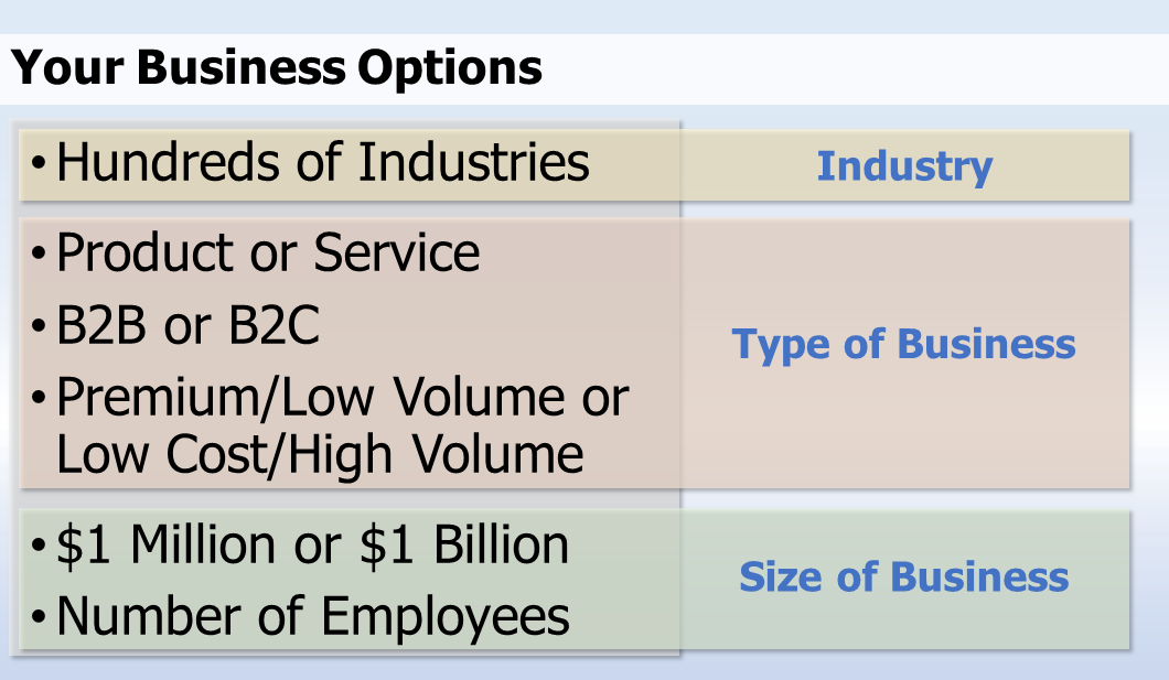 Your Business Options